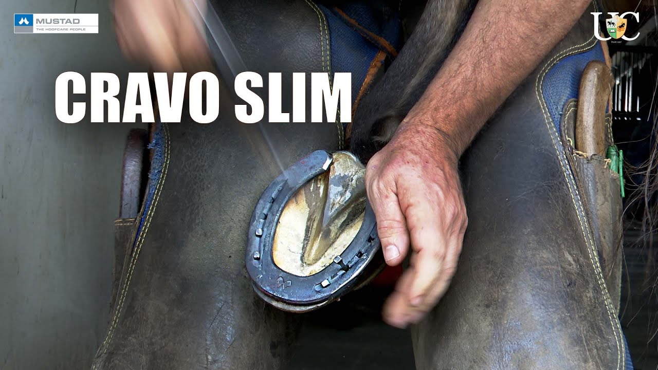 Usando um cravo slim