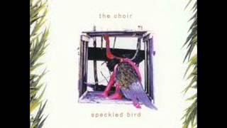 Video thumbnail of "The Choir - 3 - Like A Cloud - Speckled Bird (1994)"