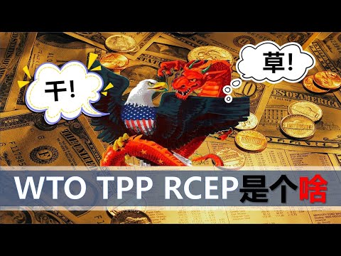 【小岛浪吹】WTO，TPP，RCEP真的有好处吗，一堆国家到底谁赚谁亏了？