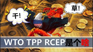 【小岛浪吹】WTO，TPP，RCEP真的有好处吗，一堆国家到底谁赚谁亏了？
