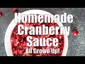 Homemade Cranberry Sauce Recipe