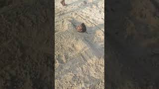 Human Cross in Sand #calangutebeach #goa #beach #fun #youth #comedy #creative  #news