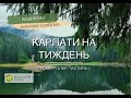 Тур в Карпати на тиждень. Відеозвіт з відпочинку в Карпатах. Частина 2.