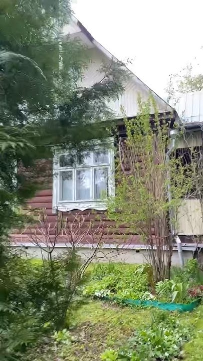 Просто микро дача влог 🌿 - YouTube