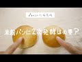 【コメパン研究所】米粉パンに２次発酵は必要？徹底検証| Is secondary fermentation necessary for rice_flour bread?|morinokomepan
