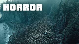 The Scariest Movie You Didn't Know Existed... Watch This NOW! Dark Island | Horror Movies in English