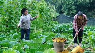 Download Lagu Seorang ibu tunggal menemukan guci emas yang hilang — apa yang terjadi? MP3