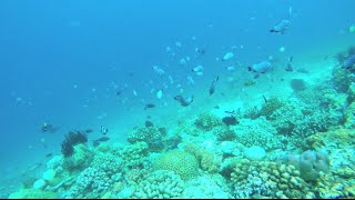 Bali Lombok Vietnam Singapore December 2014 Gopro Hd Travel Video Diary