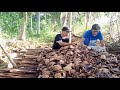 Tamang Proseso sa PAGTAPA ng Niyog Copra /Province Life | traditional way of drying Coconut