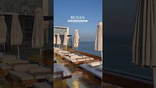 기장에 이런 숙소가 있었다구요?! 평일 7만원대 가성비갑 호텔✨ [베스트루이스해밀턴오션테라스] | 햄맵