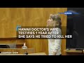 Hawaii doctor's wife testifies 1 year after she says he tried to kill her | News Across America
