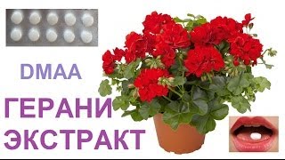 Экстракт Герани Экстракт Герани