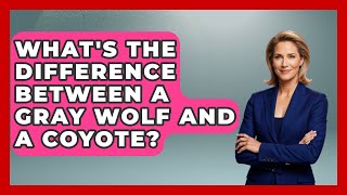 Famous What's The Difference Between A Gray Wolf And A Coyote? - Exploring Campgrounds Wealth