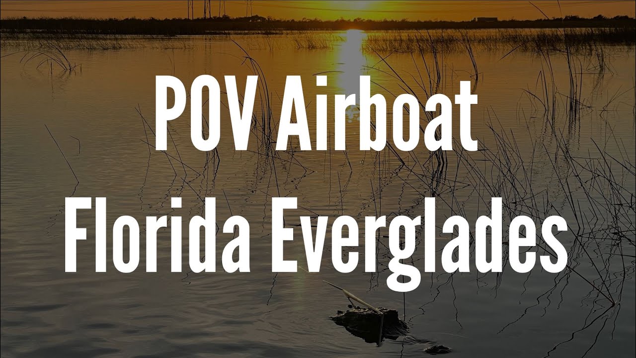 Florida Everglades Sunset Airboat Ride POV