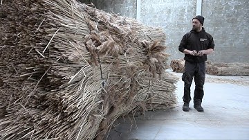 Heed the reed: thatcher scientist on mission to revive craft | AFP