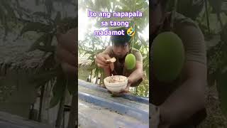 Tulong Nahulog Ang Hnd Namiba Ng Mangga