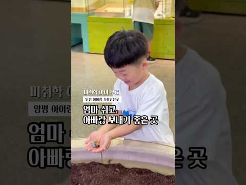 양평여행 엄마쉬고 아빠랑 가야하는 곳 #곤충박물관 #미취학아동무료
