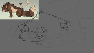 [M.A.P] Ashfur tour suite - part 11 // 3
