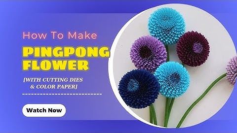 HOW TO MAKE POM POM FLOWERS FROM COLOR PAPER/ Cách làm hoa cúc pingpong giấy [#Anapanaflower]