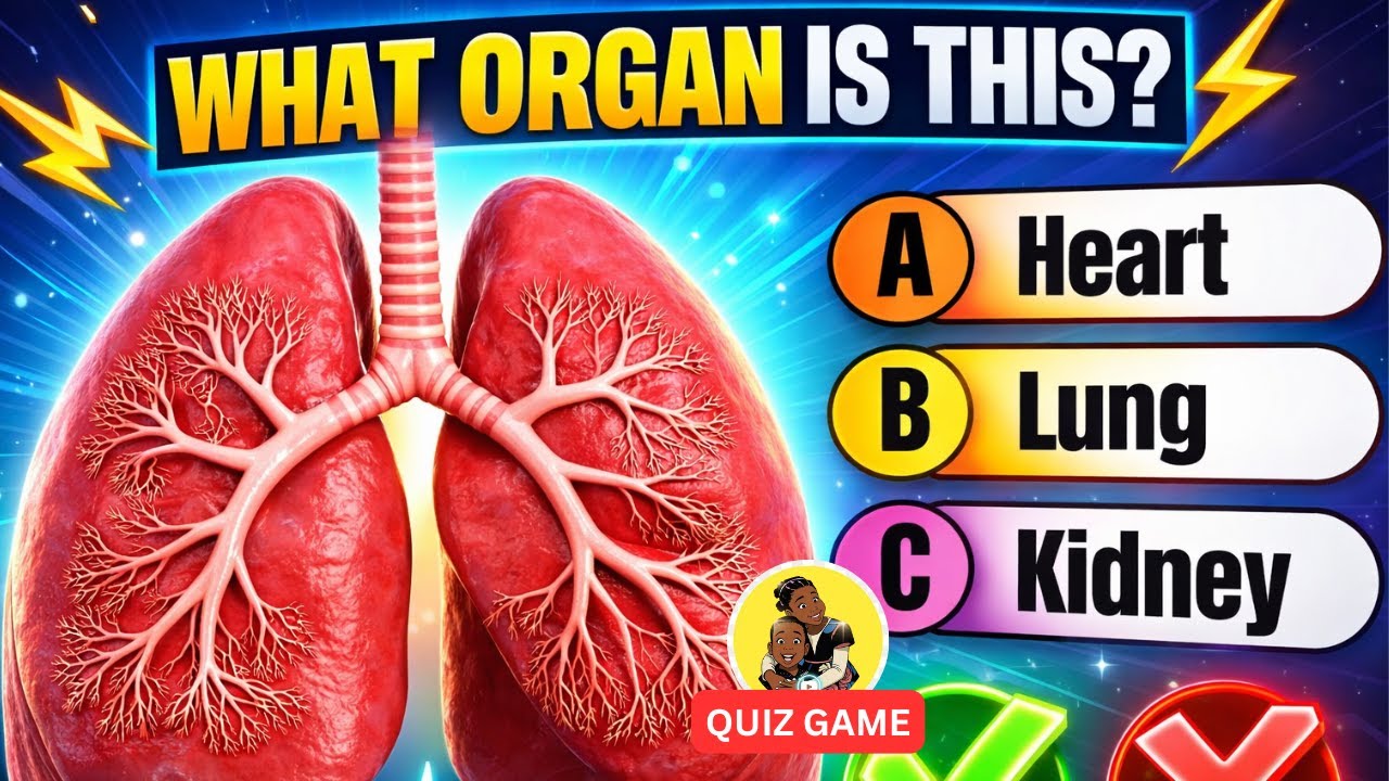 Can You Pass This Human Body Quiz? Only Geniuses Score 10/10!
