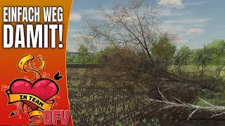 LS22 // Ich mache es mir einfach! // DFV #Update 10