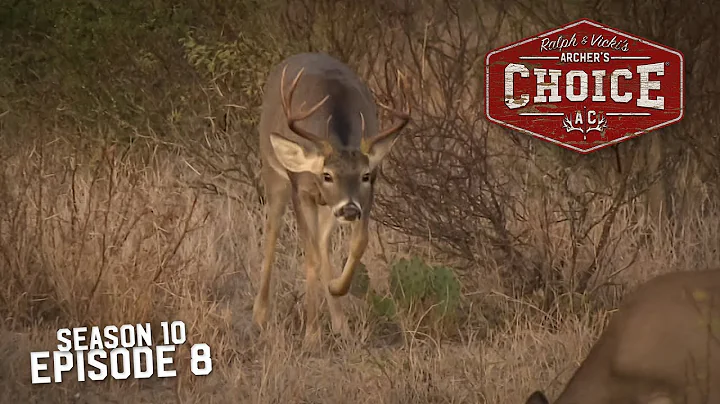 OLD MEXICO WHITETAIL CIESTA - Archer’s Choice (Full Episode)  // S10: Episode 8
