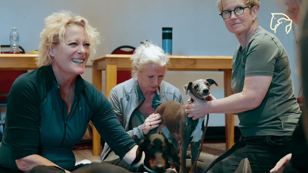 Как остеопатия заполнила пробел в ветеринарном образовании | Доктор Анджела Уилан (выпускница LCAO)