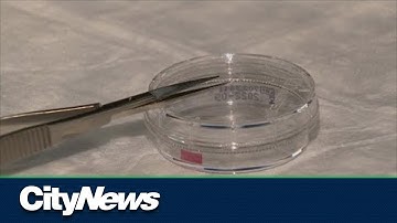 Research breakthrough has applications for MS treatment