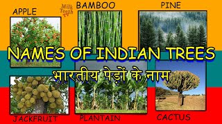 Names of Indian Trees in english and hindi with pictures | 30 trees names | भारतीय पेड़ों के नाम