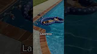 Famous #shorts The behavior and faces of a retriever #viral @johnathan lower Net Worth