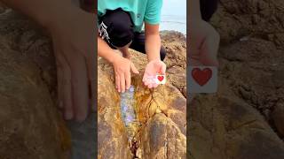 “Hidden Gem Found Inside This Ordinary Rock!” #youtubeshorts #crystals #gemstones