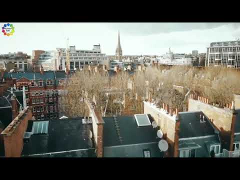 Feel So Close - Martin Garrix &amp; Alex Pall