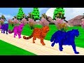 Farm Animals Become Wild Animals Are Transformed Into Water Pool Animals Names For Kids 