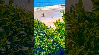 (Oh) Pretty Woman at The Beach NorCal Santa Cruz CA #socal #prettywoman #beach #girls #cute