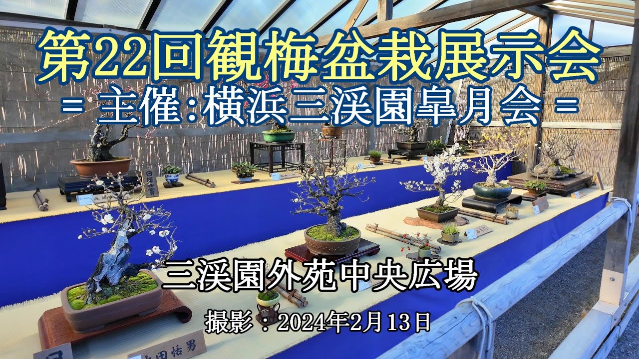 第22回観梅盆栽展示会 = 主催：横浜三渓園皐月会 = [4K] The 22nd Plum Bonsai Exhibition
