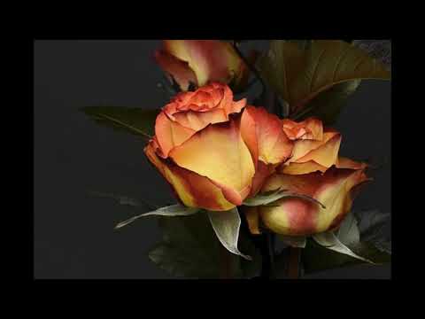Влади, Каста, Юлия Довганишина - Особенный