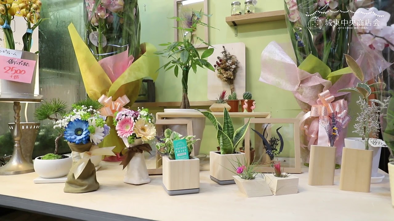 フラワーショップ花きち 城東中央商店会 花屋 Youtube