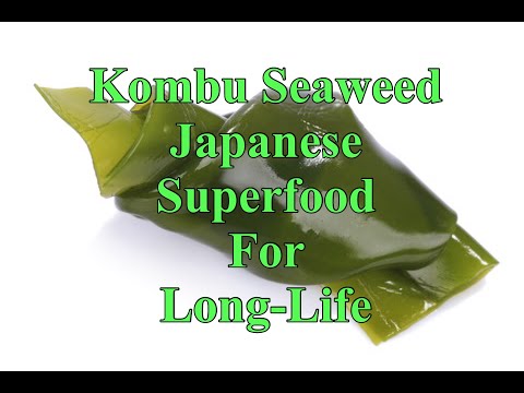 Kombu Seaweed a Japanese Superfood for Long-Life