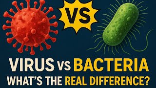 Virus vs Bakteri: Apa Perbedaan Sebenarnya? Dalam satu menit