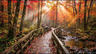 The Sound of Serenity 🌿 Relaxing Music for Mind, Body & Soul | Let Go of Stress & Find Peace