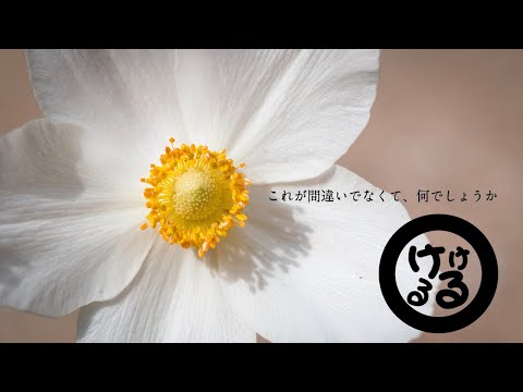 ヒューマンエラー/傘村トータ（covre.けけるる）歌ってみた