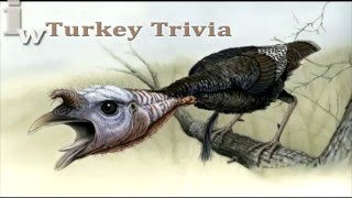 Turkey Trivia (:60)