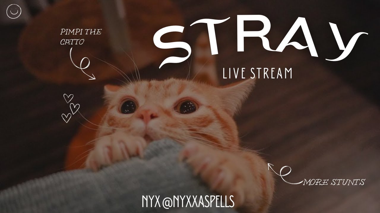 Day 2: Escaping the Zurks 😭🔥