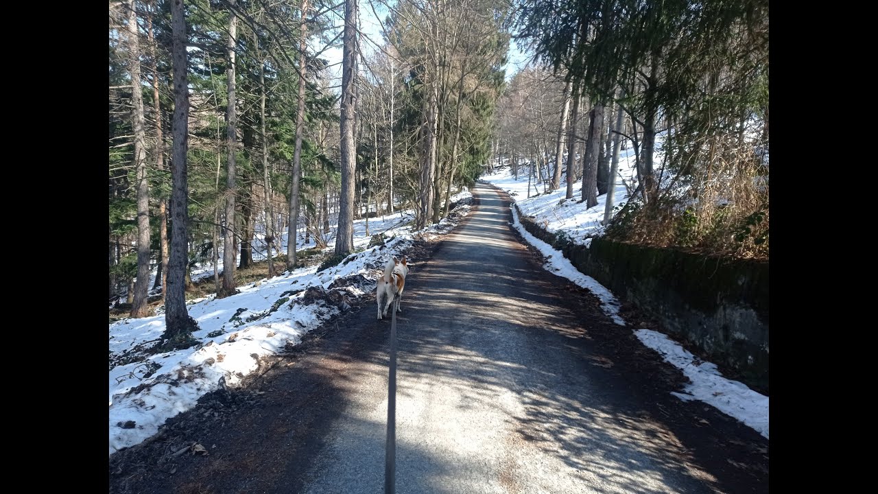 Escursione ad anello da Villar Perosa al Colle Prà Martino 05_03_2023