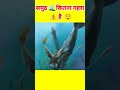 What Can Survive Different Ocean Depths? 😳 | Deep Sea Mystery 🌊 #shorts