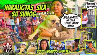 Download Lagu UMUULAN NG BAGSAK PRESYO.. / AUG. 22 @BOCAUE PET MARKET MP3 Download Lagu UMUULAN NG BAGSAK PRESYO.. / AUG. 22 @BOCAUE PET MARKET MP3