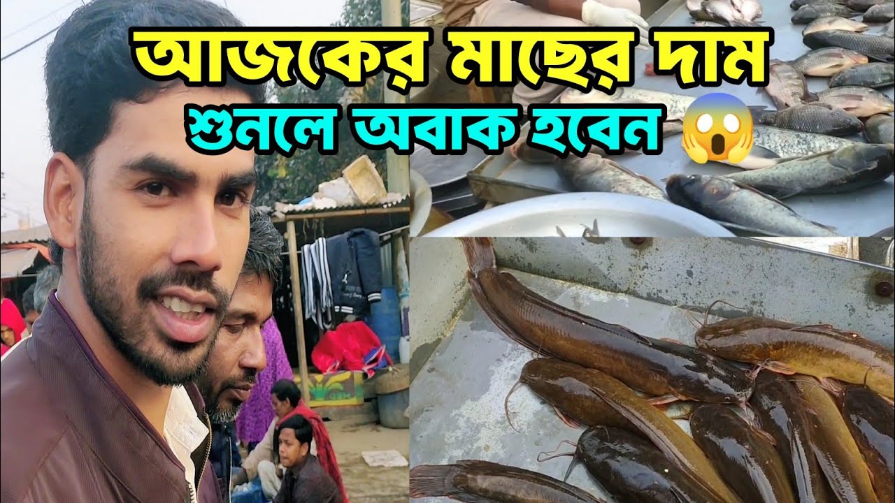 সকালের বাজারে মাছ কিনতে গেলাম | Fresh Fish Market Vlog 🐟 Shahed Islam official 