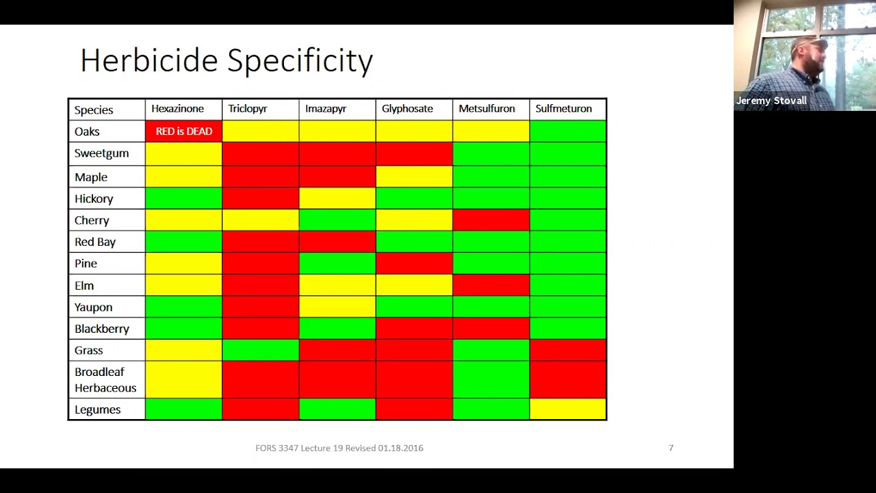 Herbicides in Forestry - SFA Silviculture Lecture (FORS 3347)