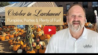 Spooktacular Events in Larchmont | This week with Hancock Homes Realty + Living in Los Angeles