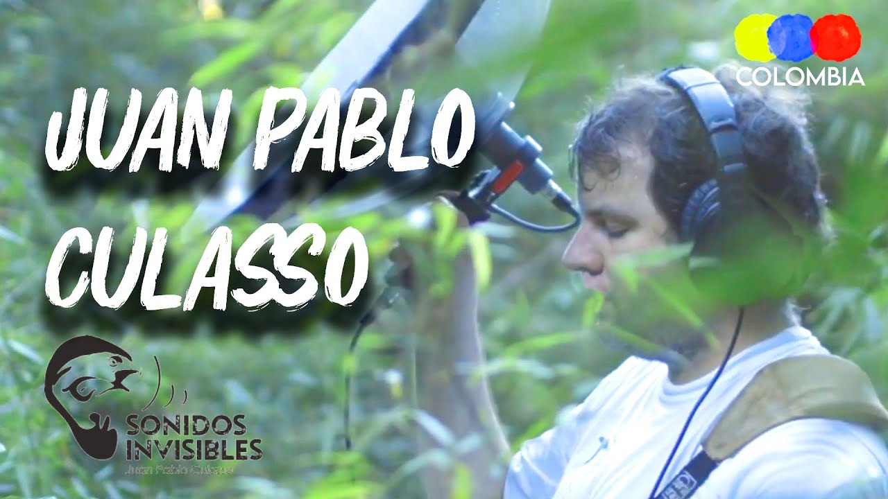 Juan Pablo Culasso, Nature and Bird Recordist – Bird Watching Colombia